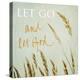 Let Go-Sarah Gardner-Stretched Canvas