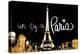 Let's Fly To Paris-Emily Navas-Stretched Canvas