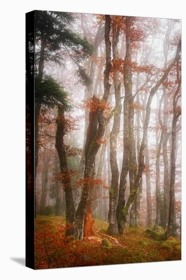 Let's Get Lost-Philippe Sainte-Laudy-Premier Image Canvas