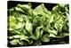 Lettuces-Victor De Schwanberg-Premier Image Canvas