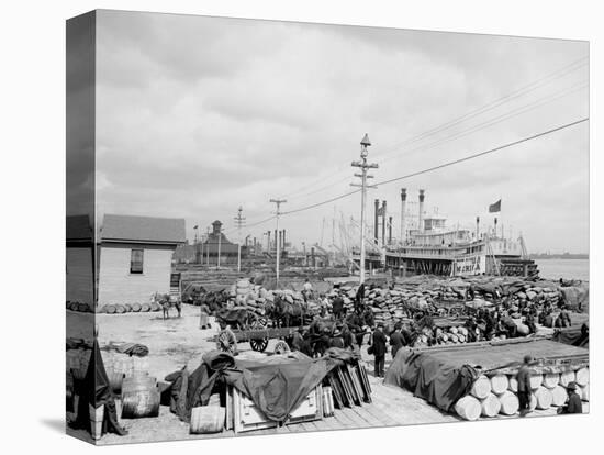 Levee, Foot of Canal St., New Orleans-null-Stretched Canvas