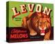 Levon Brand California Melons-null-Stretched Canvas