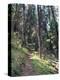 Lewis and Clark Trail over Lolo Pass, Bitterroot Mountains, Montana-null-Premier Image Canvas