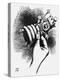 Lewis Carroll --John Tenniel-Premier Image Canvas