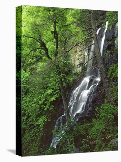 Lewis Falls, Shenandoah National Park, Virginia, USA-Charles Gurche-Premier Image Canvas