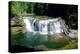 Lewis River Lower Falls-Douglas Taylor-Stretched Canvas