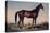 Lexington, The Celebrated Horse-Currier & Ives-Premier Image Canvas