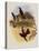 Leybold's Firecrown, Eustephanus Leyboldi-John Gould-Premier Image Canvas
