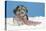 Lhasa Apso Cross Puppy (7 Weeks Old) With-null-Premier Image Canvas