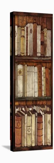 Library II-Elizabeth Medley-Stretched Canvas