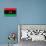 Libya Flag Design with Wood Patterning - Flags of the World Series-Philippe Hugonnard-Stretched Canvas displayed on a wall