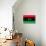Libya Flag Design with Wood Patterning - Flags of the World Series-Philippe Hugonnard-Stretched Canvas displayed on a wall