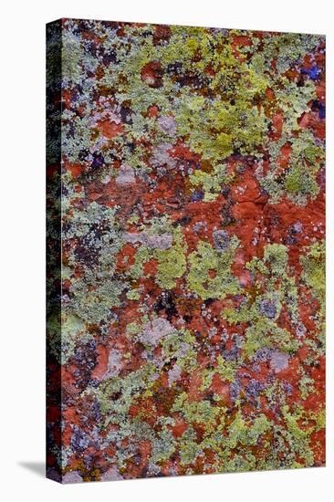 Lichen on Red Rock Formations Near Flagstaff, Arizona-Jaynes Gallery-Premier Image Canvas