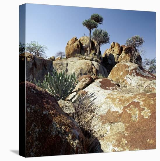 Lichen-Stained Boulders and Euphorbia Trees Add Form and Colour to Lake Eyasi's Impressive Western -Nigel Pavitt-Premier Image Canvas