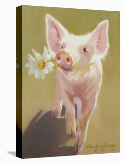 Life as a Pig IV-Carolyne Hawley-Stretched Canvas