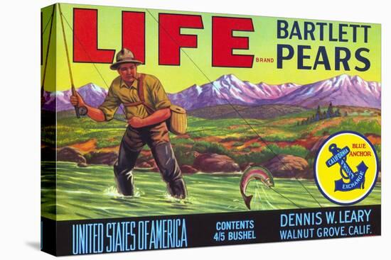 Life Brand Bartlett Pears Fruit Crate Label-null-Premier Image Canvas