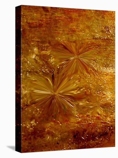 Life fusion-Kenny Primmer-Stretched Canvas