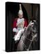 Life Guard One of the Household Cavalry Regiments on Sentry Duty, London, England, United Kingdom-Walter Rawlings-Premier Image Canvas