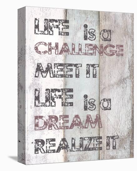 Life Is A Challenge-null-Stretched Canvas