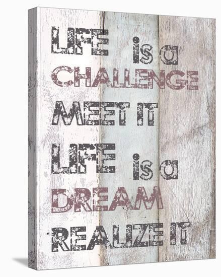 Life Is A Challenge-null-Stretched Canvas