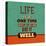 Life Is a One Time Offer-Lorand Okos-Stretched Canvas