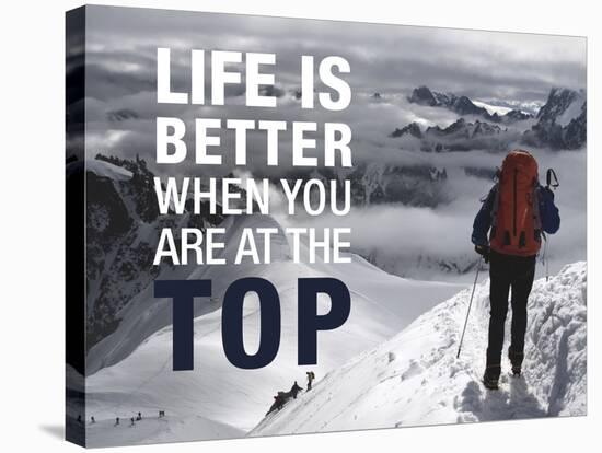 Life is Better at the Top-Richardson Peter-Stretched Canvas