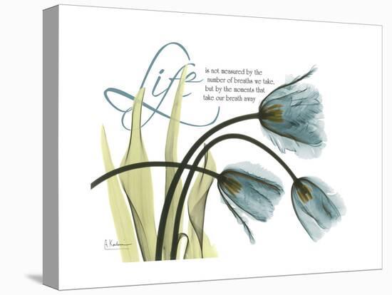 Life Tulips-Albert Koetsier-Stretched Canvas