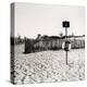 Lifebelt, Camber Sands-Fay Godwin-Premier Image Canvas