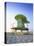 Lifeguard Hut in Art Deco Style, South Beach, Miami Beach, Miami, Florida, USA-Gavin Hellier-Premier Image Canvas