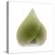 Light 4: Sacred Lotus Bud-Doris Mitsch-Premier Image Canvas