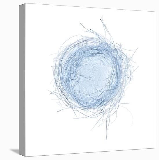 Light 5: Bird's Nest-Doris Mitsch-Premier Image Canvas