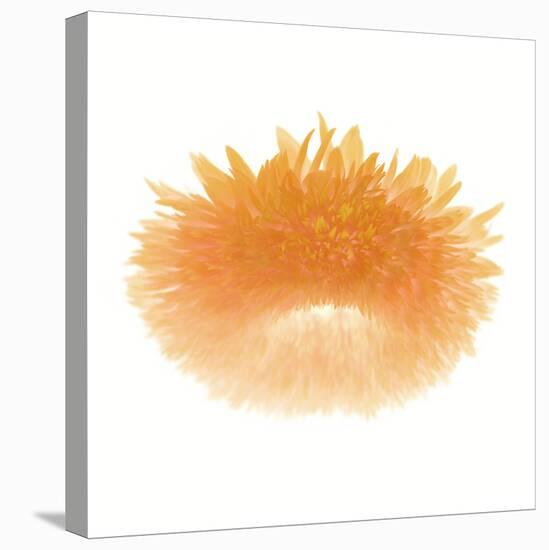 Light 6: Sunflower-Doris Mitsch-Premier Image Canvas