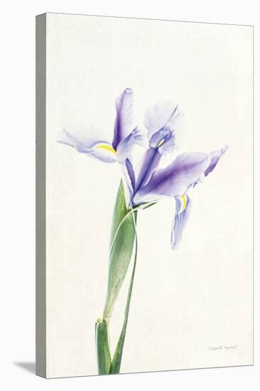 Light and Bright Floral IV-Elizabeth Urquhart-Stretched Canvas