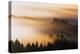 Light and Mist Sweep, Hills and Fog, Mount Tamalpais Marin County-Vincent James-Premier Image Canvas