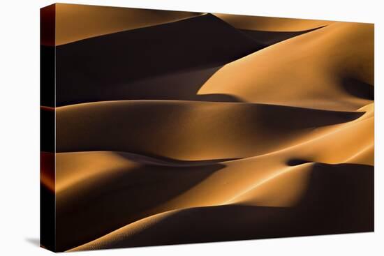 Light And Shadow-Mohammadreza Momeni-Stretched Canvas