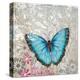 Light Blue Butterfly-Alan Hopfensperger-Stretched Canvas