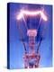 Light Bulb Filament-Victor De Schwanberg-Premier Image Canvas