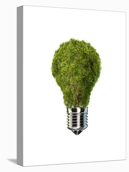 Light Bulb with Tree Inside Glass, Isolated on White Background-null-Stretched Canvas