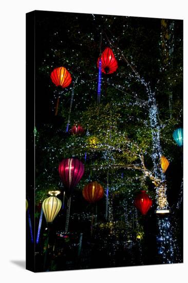 Light decorations. Tet Festival, New Year celebration, Vietnam.-Tom Norring-Premier Image Canvas