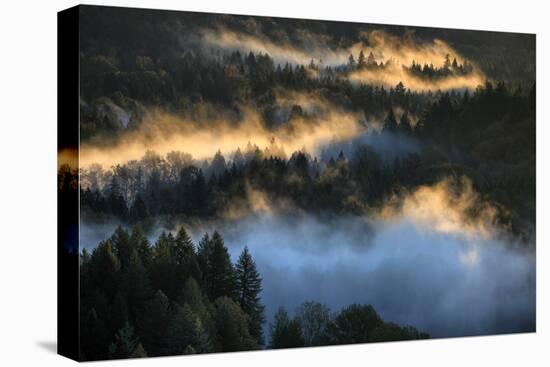 Light & Fog Wonderland Abstract Mount Hood Wilderness Sandy Oregon Pacific Northwest-Vincent James-Premier Image Canvas