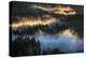Light & Fog Wonderland Abstract Mount Hood Wilderness Sandy Oregon Pacific Northwest-Vincent James-Premier Image Canvas