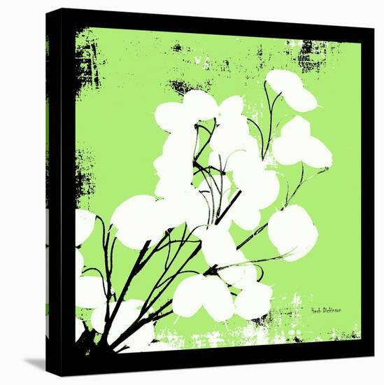 Light Green Money Plant-Herb Dickinson-Premier Image Canvas