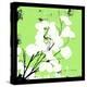 Light Green Money Plant-Herb Dickinson-Premier Image Canvas