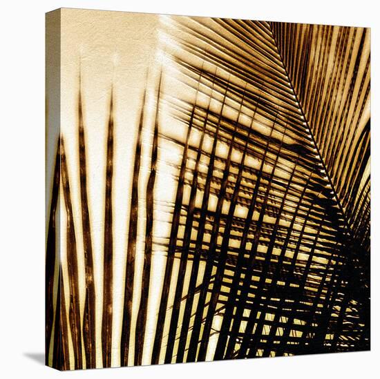 Light on Palms I-Malcolm Sanders-Stretched Canvas
