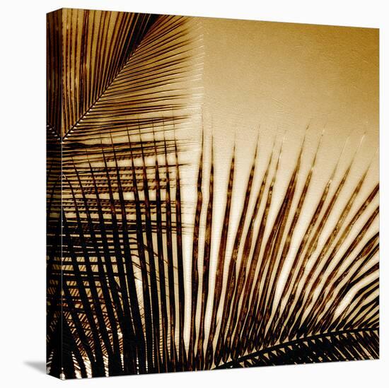 Light on Palms III-Malcolm Sanders-Stretched Canvas