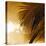 Light on Palms IV-Malcolm Sanders-Stretched Canvas