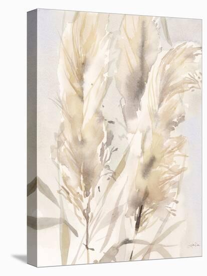 Light Pampas Grasses II-Katrina Pete-Stretched Canvas