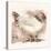 Light Sussex Hen-Tim Kahane-Premier Image Canvas