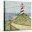 Lighthouse 1-Robin Betterley-Premier Image Canvas