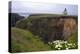 Lighthouse and Lilies, Point Cabrillo, Mendocino-George Oze-Premier Image Canvas